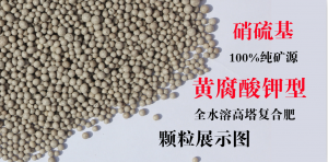 黃腐酸鉀復合肥的作用有哪些，農富天下小編為你科普一下！